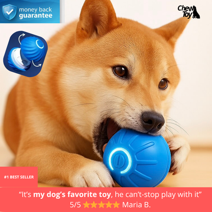 ChewToy™(FREE TODAY)